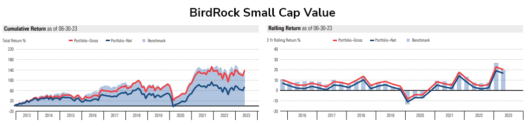 BirdRock Small Cap Value