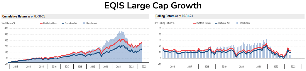 EQIS Large Cap Growth