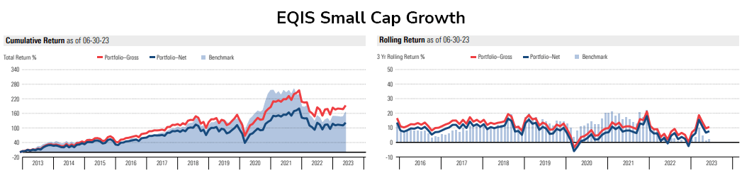 EQIS Small Cap Growth