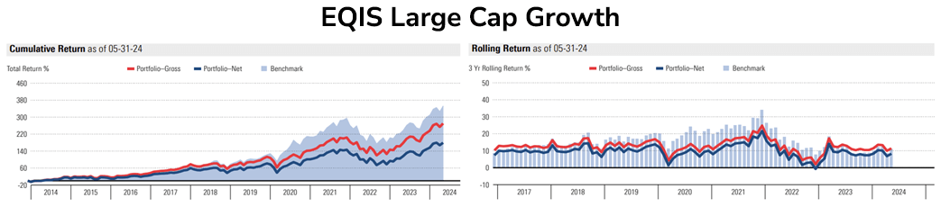 large-cap-eqis-2024