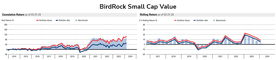 smallcap-birdrock-2024